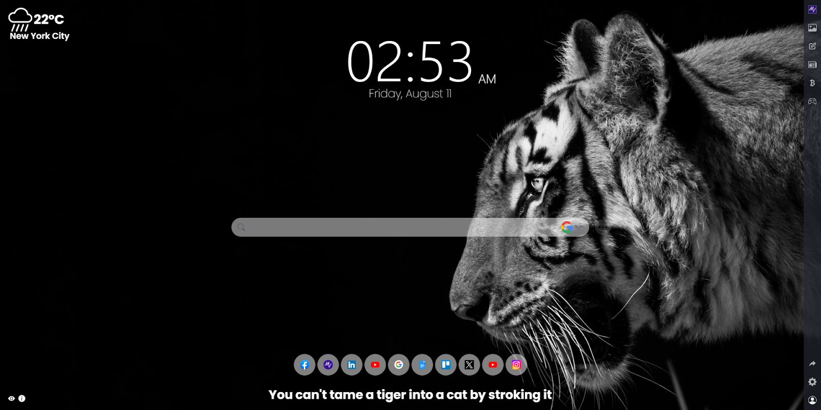 Embracing Beauty and Efficiency: Exploring the Values of the MeaVana Chrome Extension