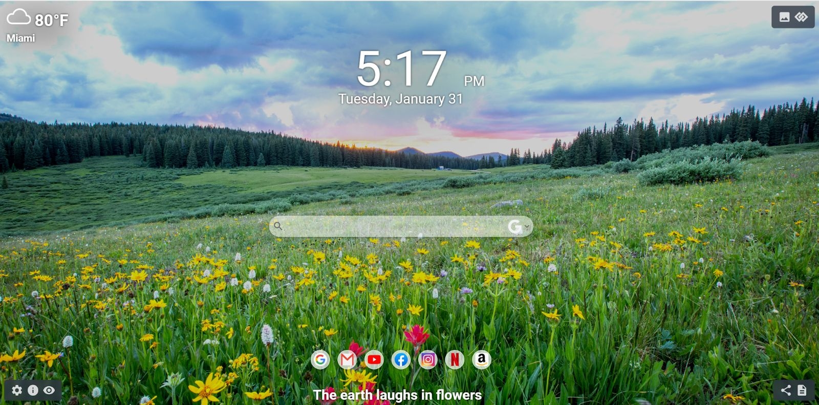 Streamline Your Online Experience: Save Clicks and Time with the MeaVana Chrome Extension